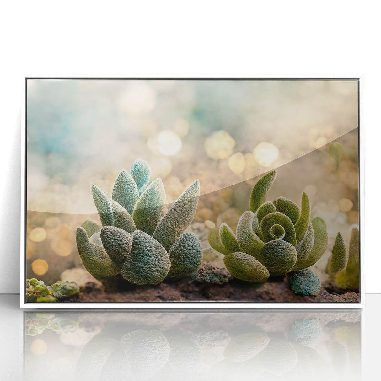 Serene Succulent Wall Art - Modern Botanical Canvas for Living Room