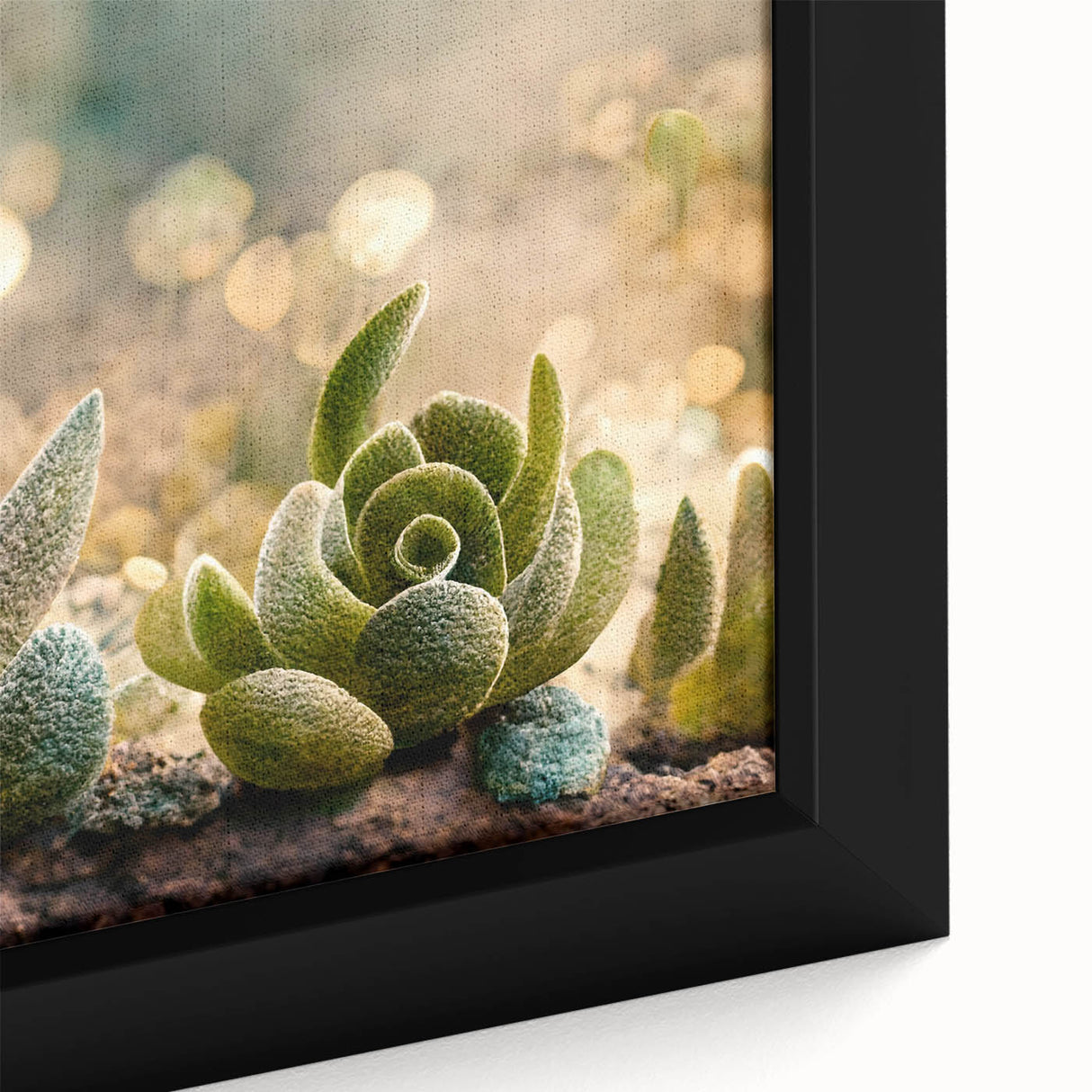 Serene Succulent Wall Art - Modern Botanical Canvas for Living Room