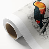 Romanticism Art: Illustrated Toucan by Charles Dessalines D'Orbigny