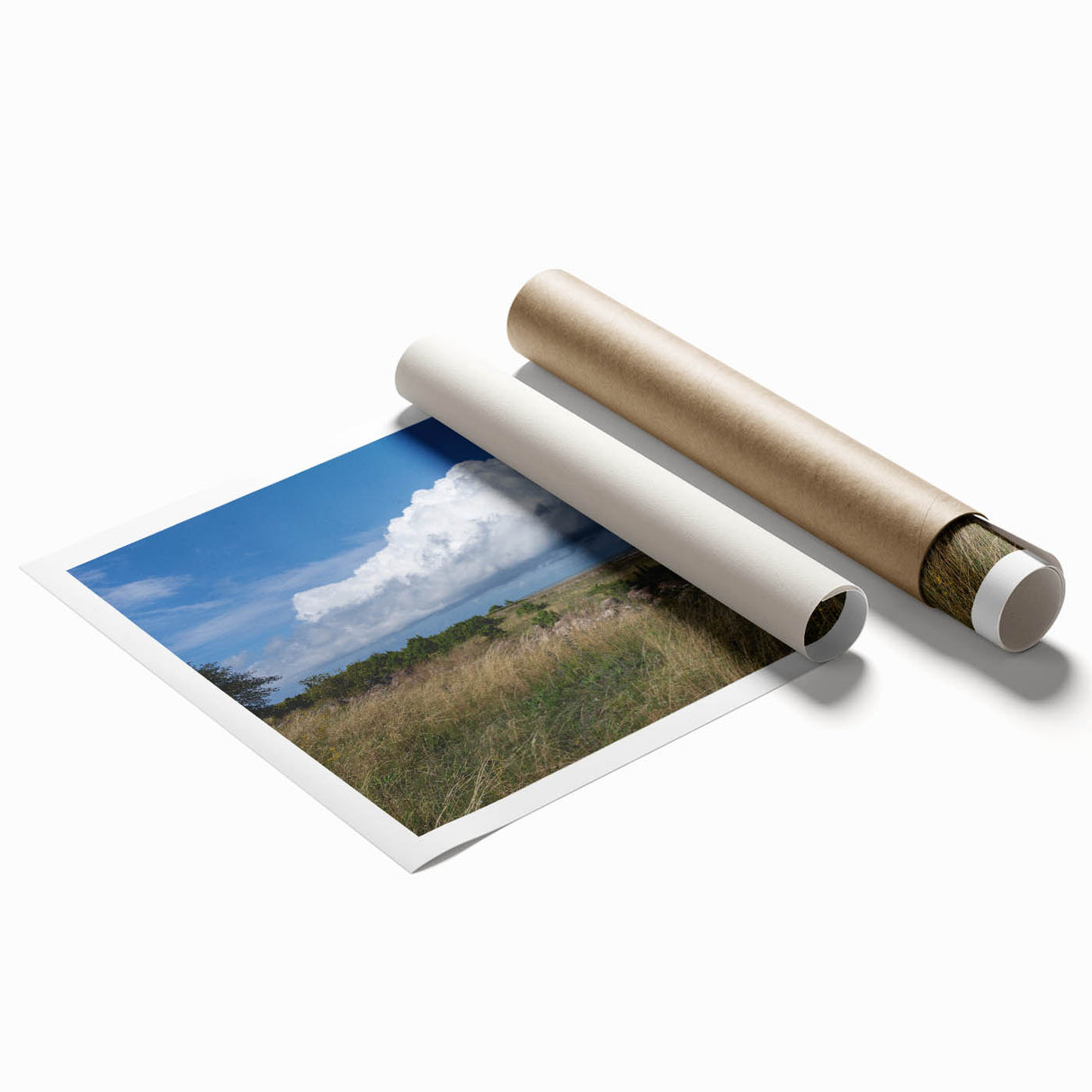 Extra large rolled print depicting a serene Estonian landscape with lush greenery and a calm lake.