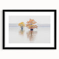 Abstract art print of a colorful Louisiana landscape in vibrant hues on a large, textured canvas, framed in black.