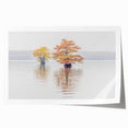 Extra large rolled print of Louisiana scenery with vibrant floral elements, ideal for art wall dining room.