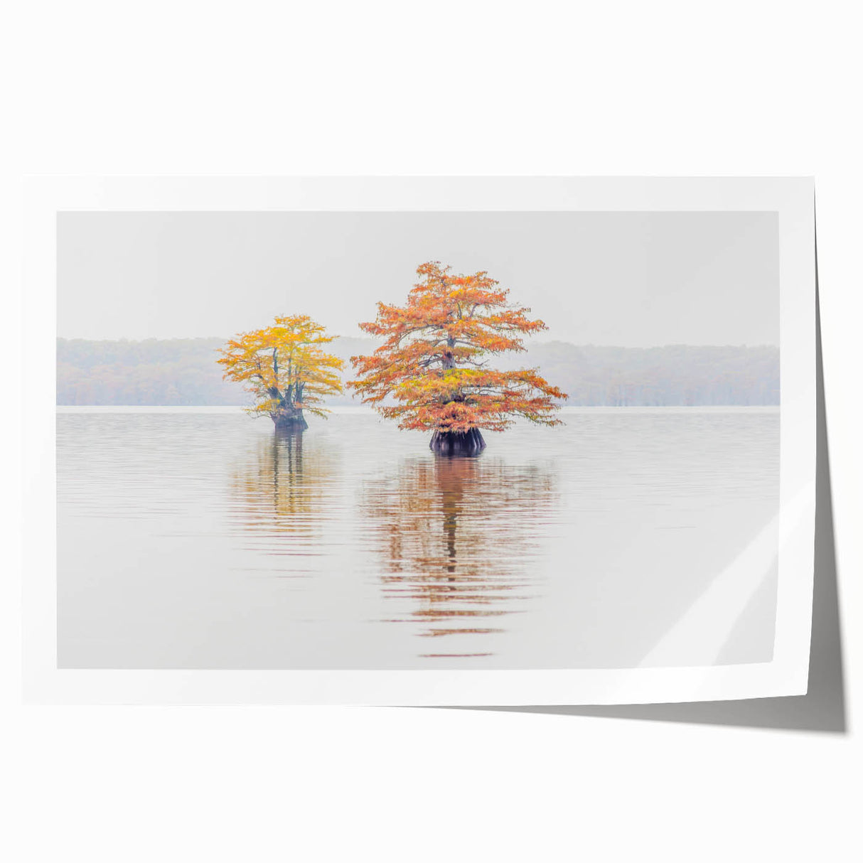 Extra large rolled print of Louisiana scenery with vibrant floral elements, ideal for art wall dining room.