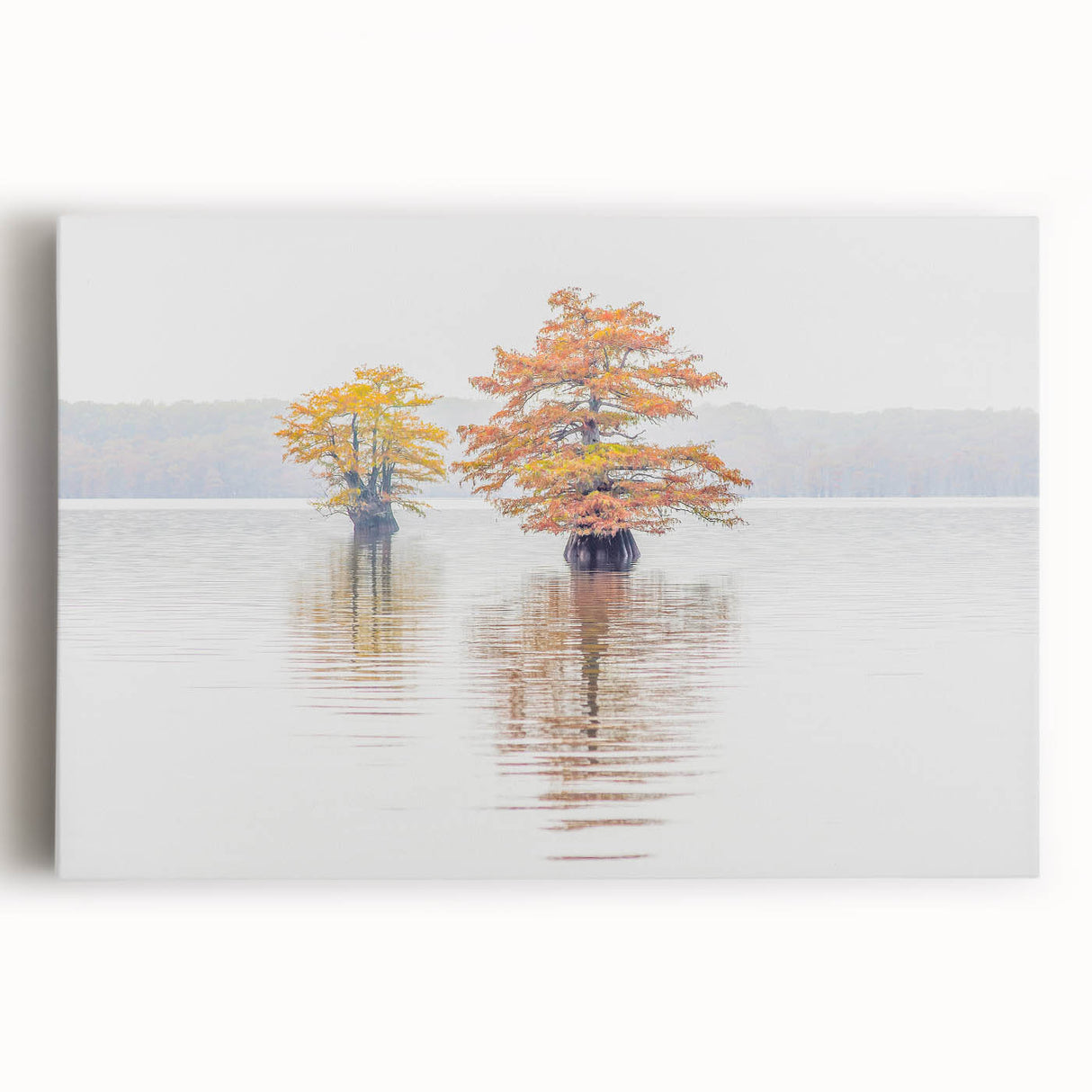 Black and white photograph of a Louisiana landscape on stretched canvas, ideal for kitchen wall art.