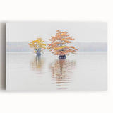 Black and white photograph of a Louisiana landscape on stretched canvas, ideal for kitchen wall art.