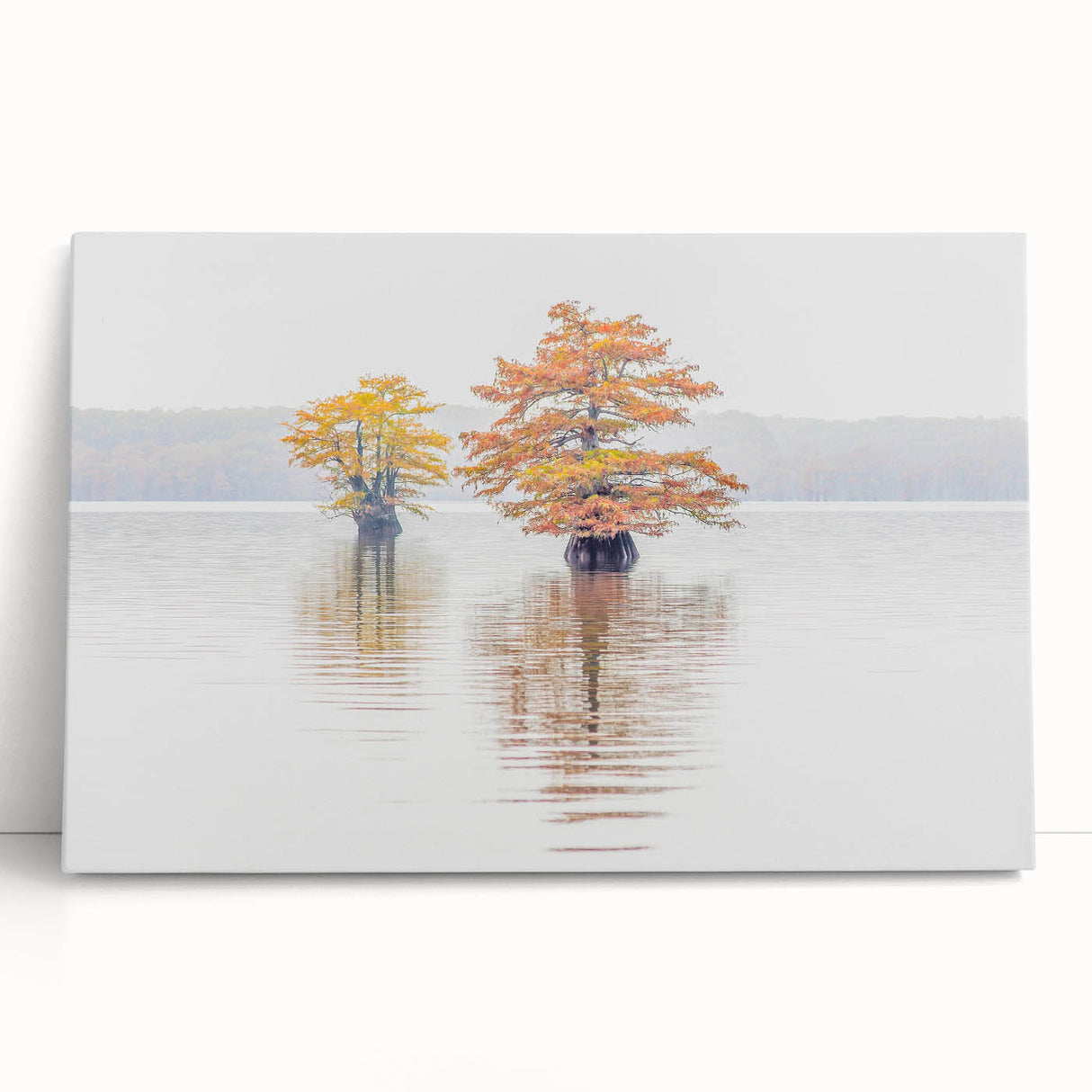 Black and white large art print of Louisiana scenery on stretched canvas, ideal for kitchen wall art or bedroom decor.