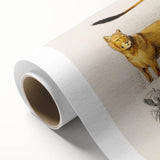 Romanticism Art: Lion Illustration by Charles Dessalines D'Orbigny