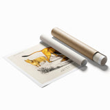 Romanticism Art: Lion Illustration by Charles Dessalines D'Orbigny