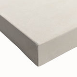 Romanticism Art: Lion Illustration by Charles Dessalines D'Orbigny