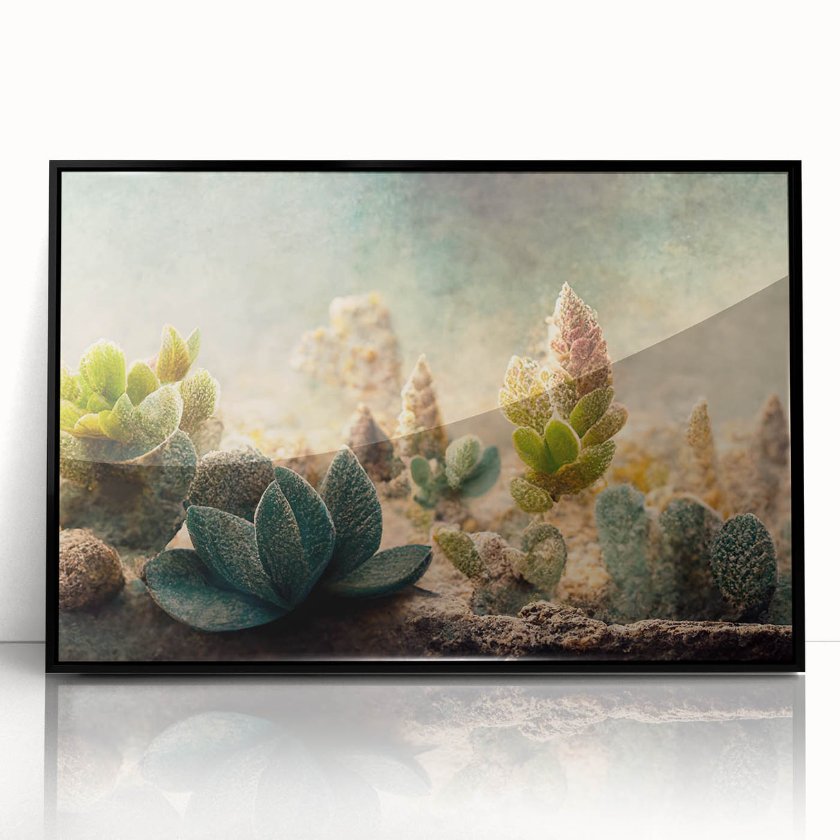 Succulent Botanical Wall Art - Modern Nature Canvas for Living Room