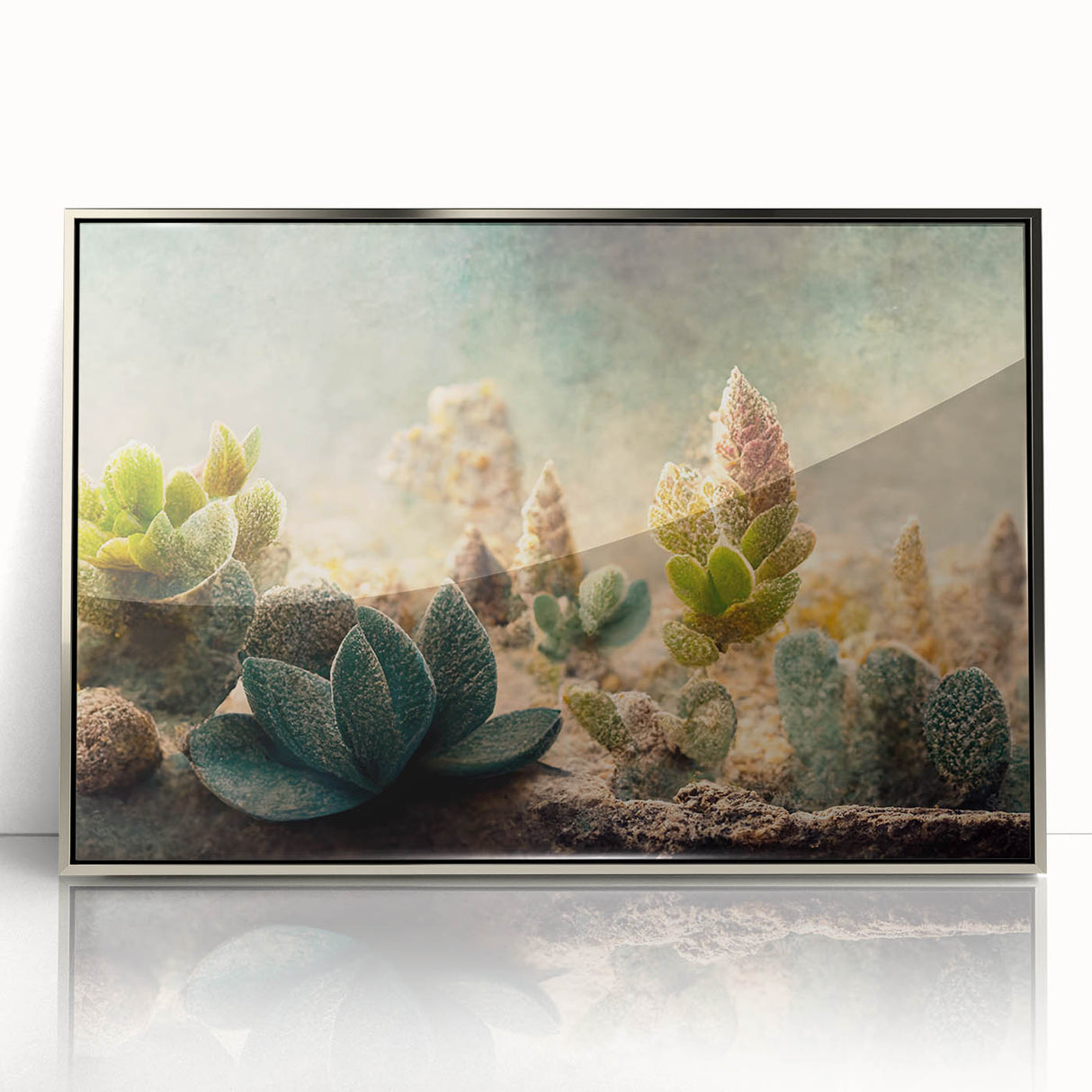 Succulent Botanical Wall Art - Modern Nature Canvas for Living Room