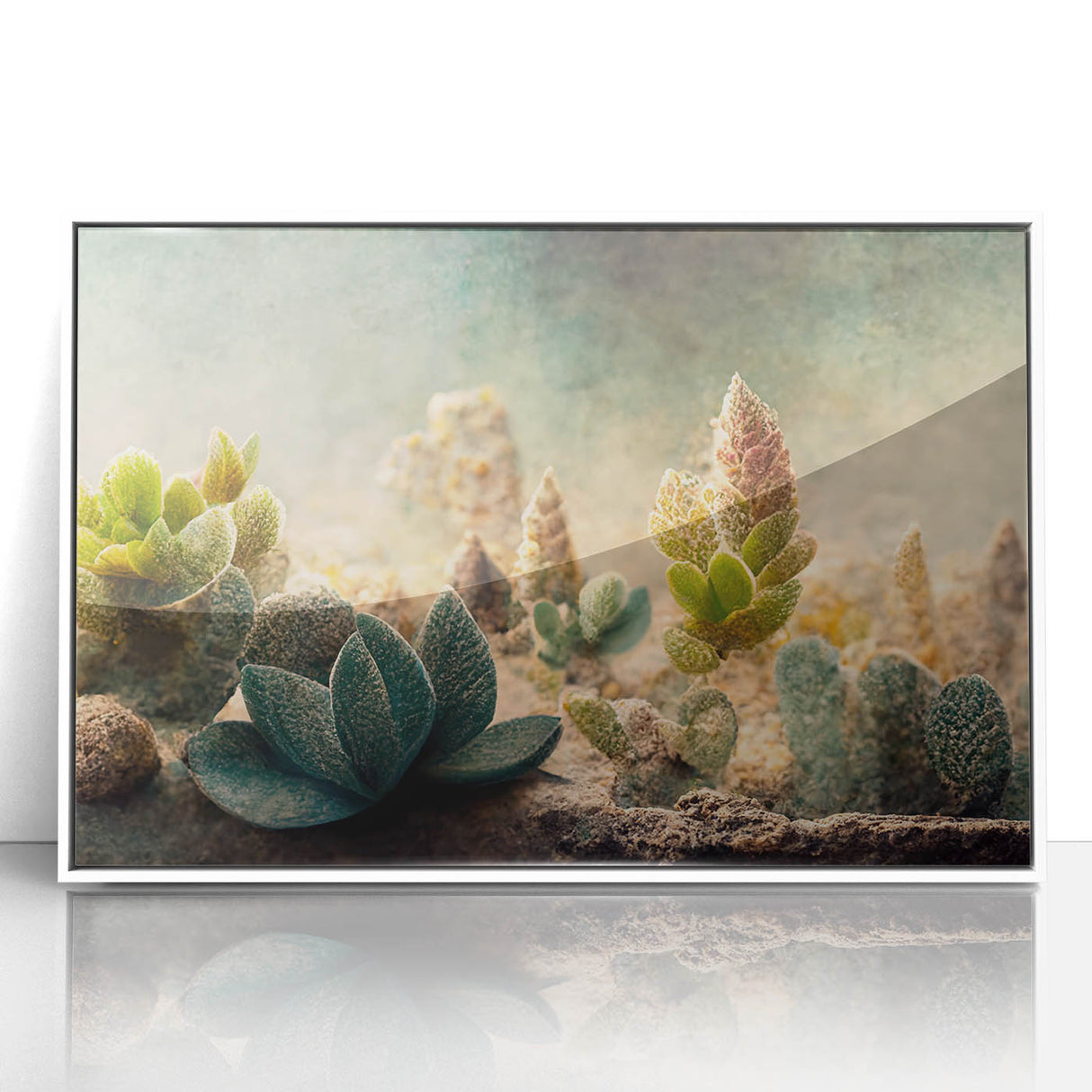 Succulent Botanical Wall Art - Modern Nature Canvas for Living Room