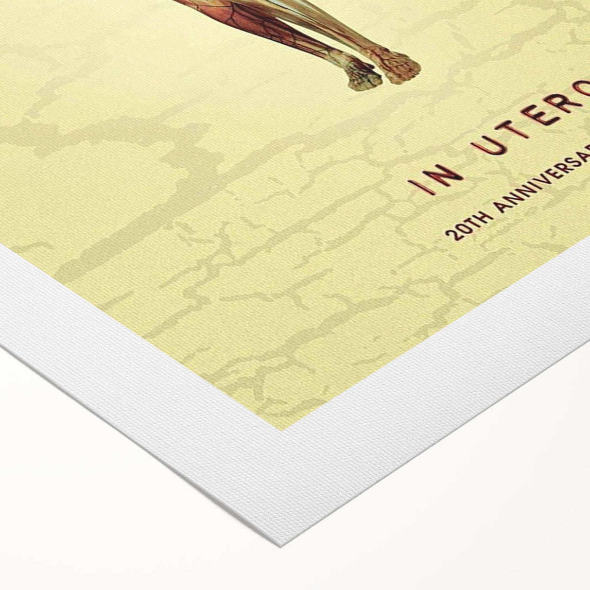 Nirvana In Utero Retro Wall Art | Vintage Poster Art