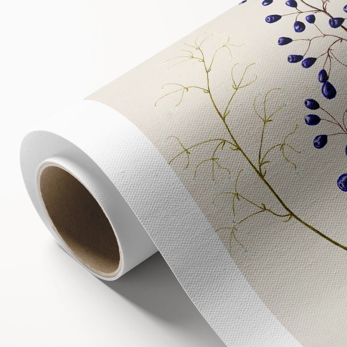 Botanical Realism Art Print - Ink Plant (Dianella Intermedia