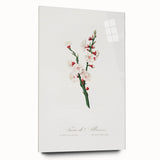 Romanticism Art: Apricot Blossom by Giorgio Gallesio