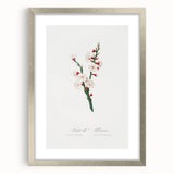 Romanticism Art: Apricot Blossom by Giorgio Gallesio