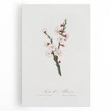 Romanticism Art: Apricot Blossom by Giorgio Gallesio