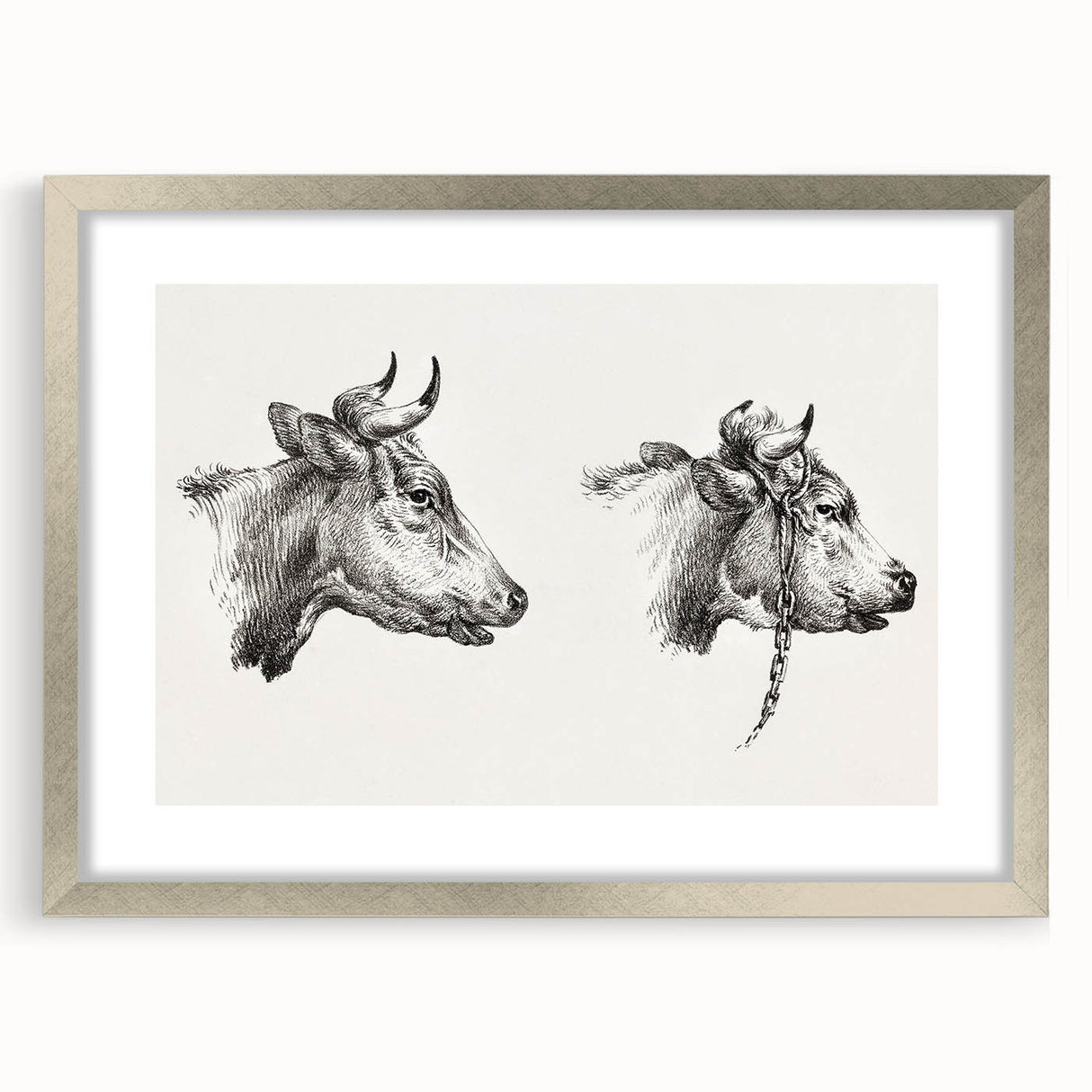 Realism Animal Study Art Print - Two Bull Heads by Jean Bernard