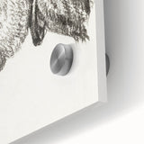 Romanticism Art: Head of a Donkey by Jean-Bernard