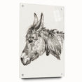 Romanticism Art: Head of a Donkey by Jean-Bernard