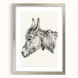 Romanticism Art: Head of a Donkey by Jean-Bernard