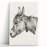 Romanticism Art: Head of a Donkey by Jean-Bernard