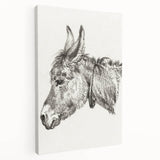Romanticism Art: Head of a Donkey by Jean-Bernard