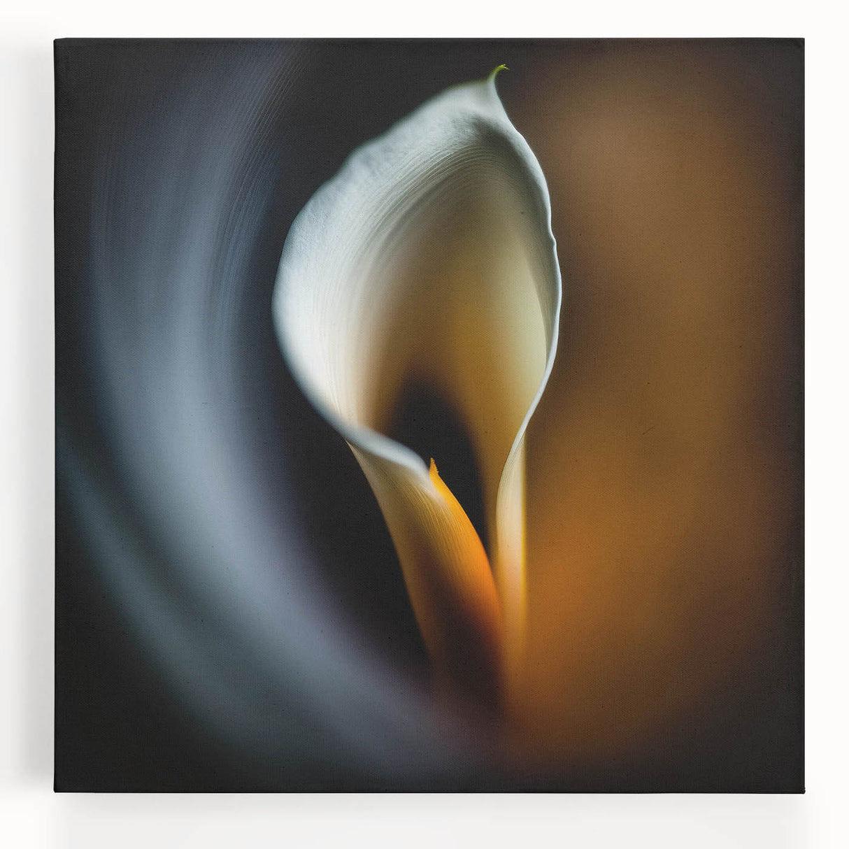 Elegant Floral Living Room Wall Art – Large Canvas & Framed Print