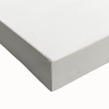 Romanticism Art Print: Maranta Illustris Leaf - Botanical Wall Art