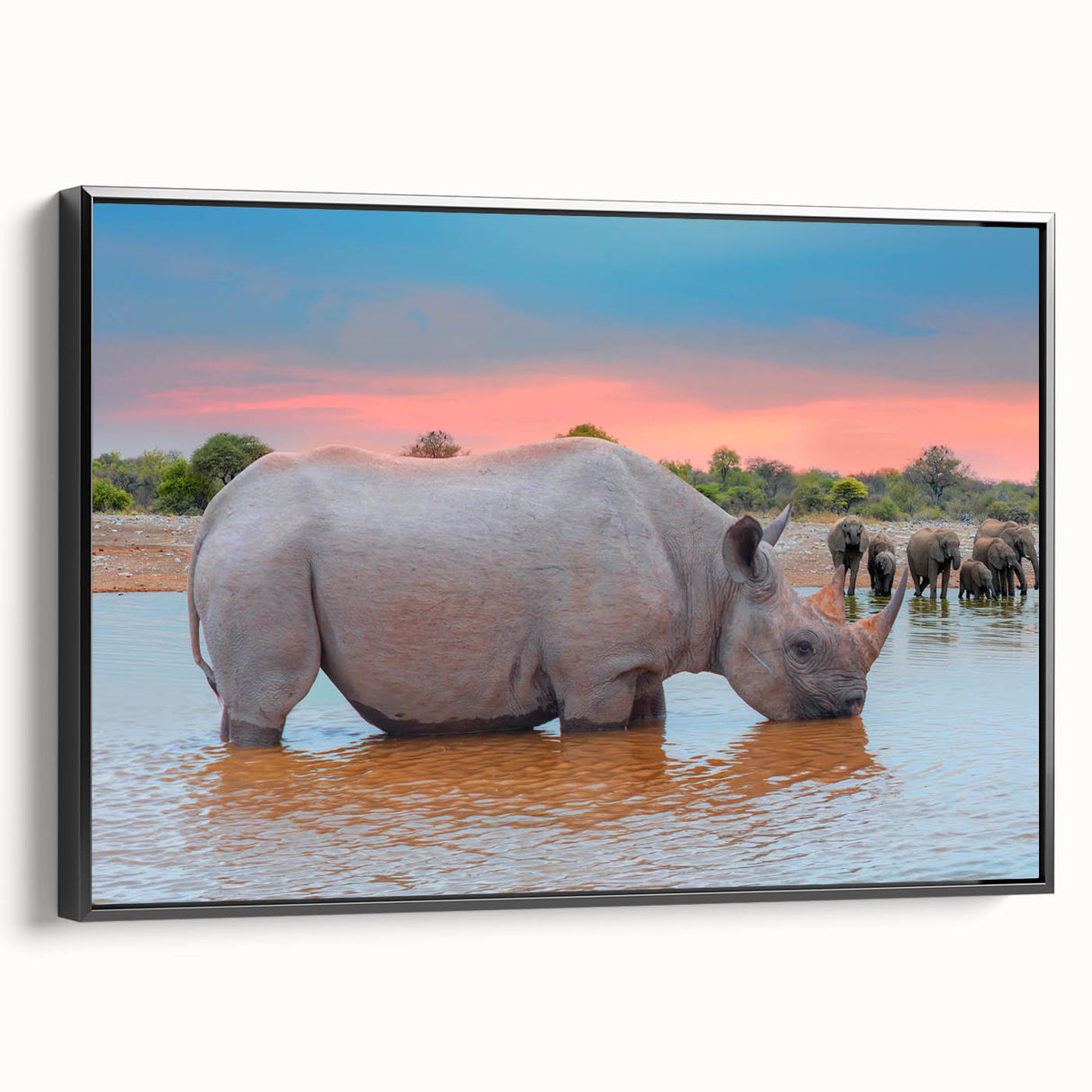 Black and white framed canvas of Namibian landscape, ideal for bedroom wall art.