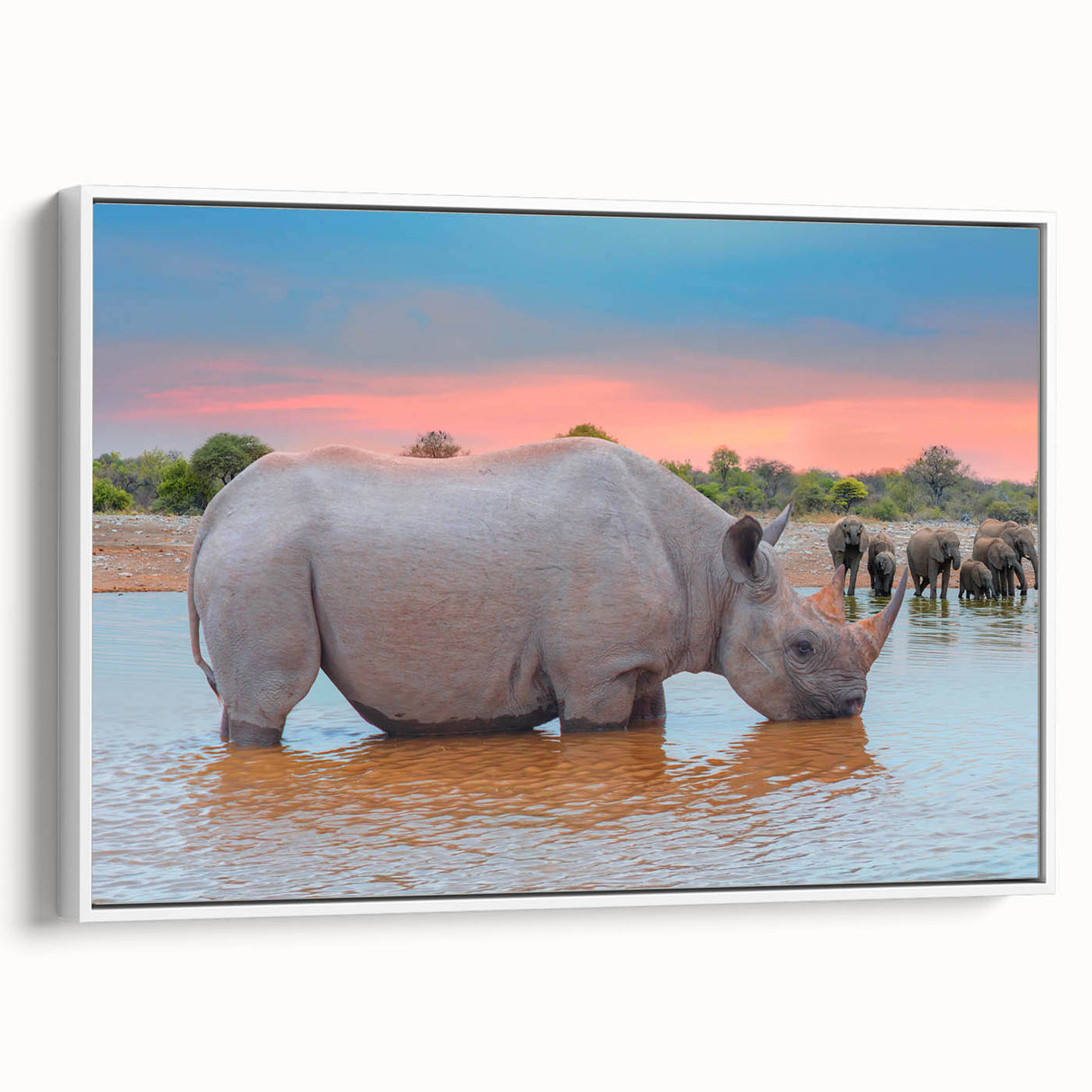 Framed canvas of a black and white vintage Namibian landscape, ideal for bedroom wall art.