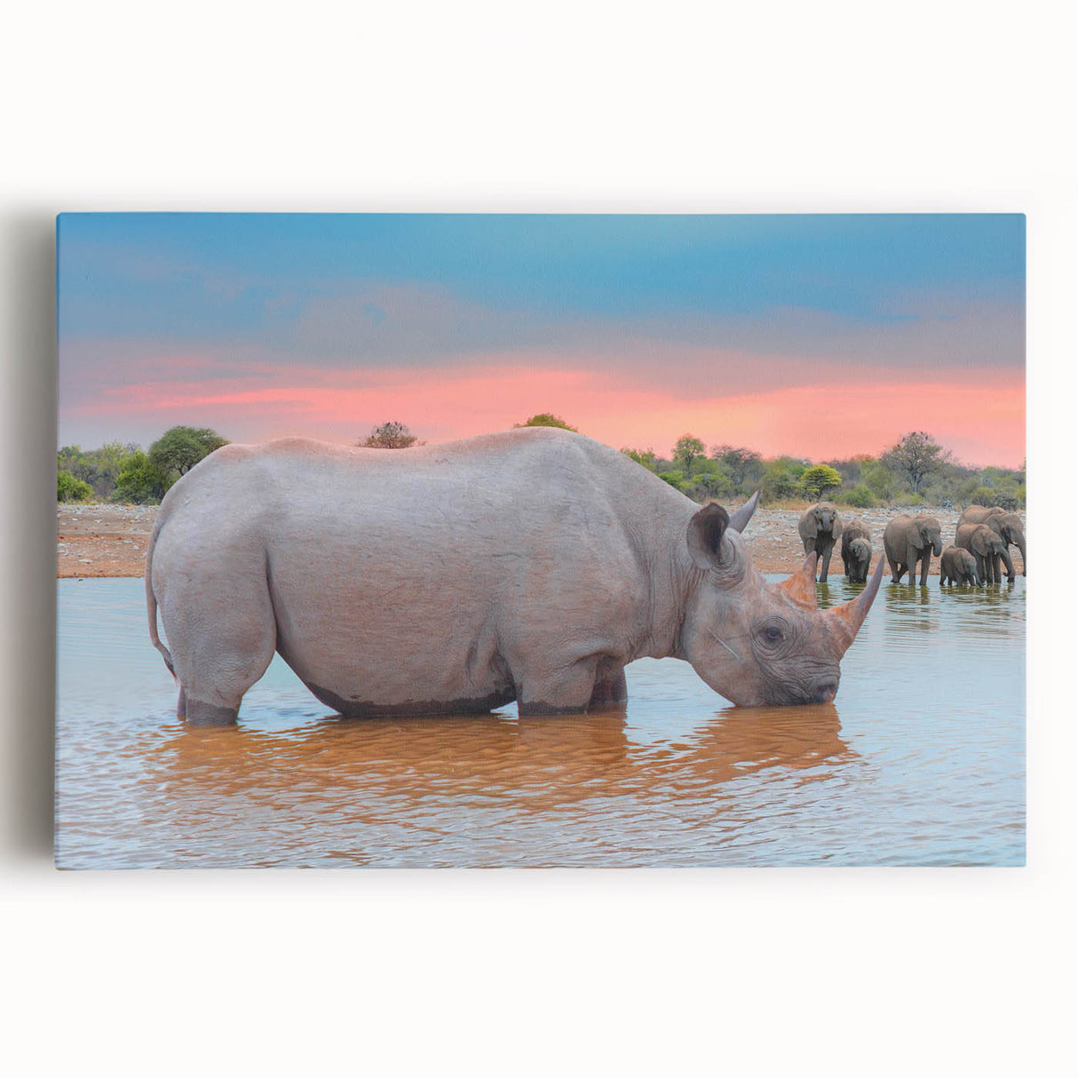 Large black and white stretched canvas of a Namibian landscape, ideal for kitchen wall art.