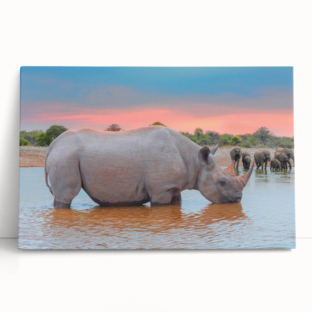 Black and white photograph of Namibian landscape on stretched canvas, ideal for kitchen wall art or bedroom decor.