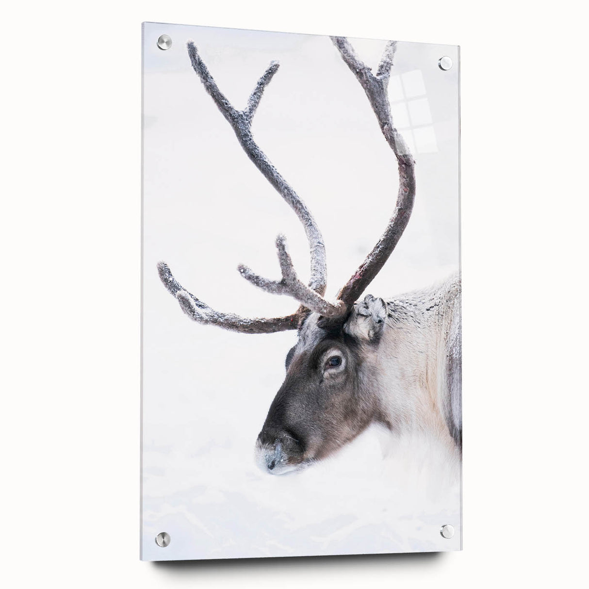 Large abstract wall art of a serene Finnish landscape in muted greens and blues, acrylic print.