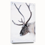 Large abstract wall art of a serene Finnish landscape in muted greens and blues, acrylic print.