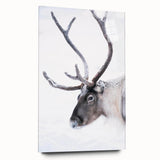 Large abstract wall art of a serene Finnish landscape in muted blue and green hues, printed on acrylic glass.