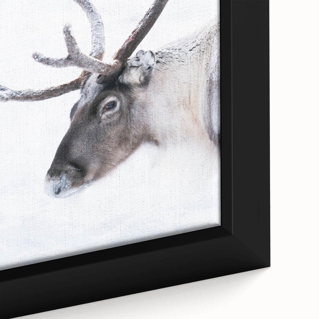 Extra large framed canvas featuring a textured depiction of a European scenery in black with colorful art accents.