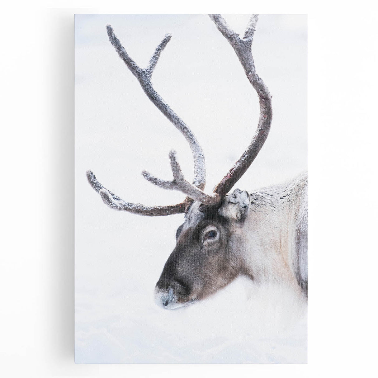 Black and white photo of a serene Finnish landscape on large stretched canvas, ideal for kitchen wall art.