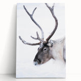 Large black and white photograph of a tranquil Finnish landscape on stretched canvas, ideal for kitchen wall art.