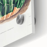 Classic Romantic Paintings: Parodia Sellowii Floral Wall Art