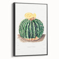 Classic Romantic Paintings: Parodia Sellowii Floral Wall Art