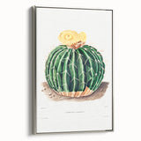 Classic Romantic Paintings: Parodia Sellowii Floral Wall Art