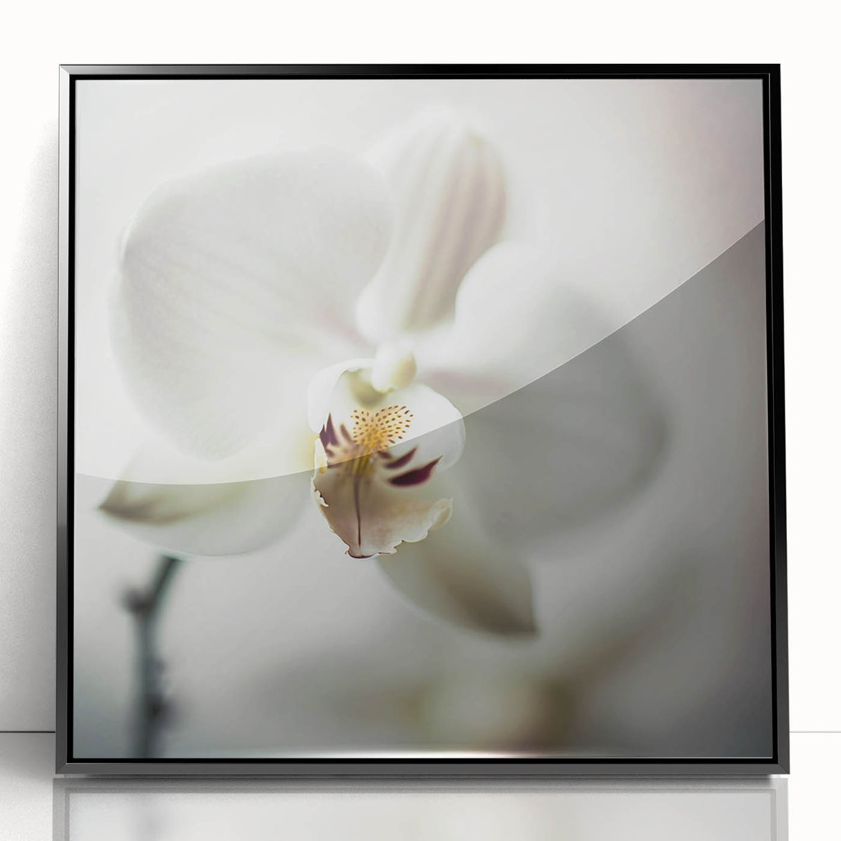 Elegant White Orchid Canvas Wall Art – Modern Framed Floral Decor