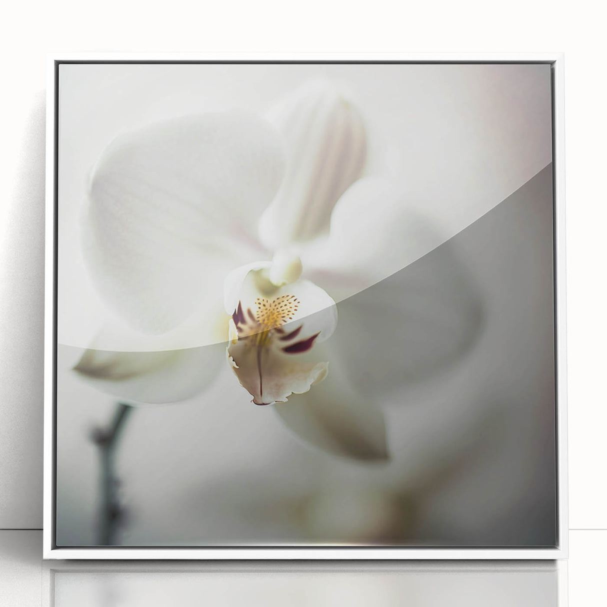 Elegant White Orchid Canvas Wall Art – Modern Framed Floral Decor