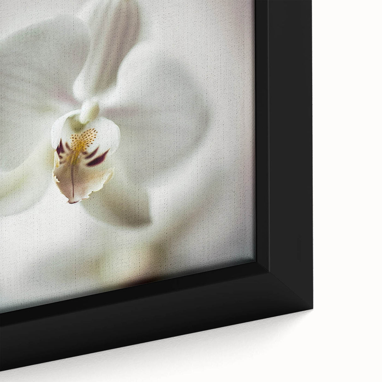 Elegant White Orchid Canvas Wall Art – Modern Framed Floral Decor