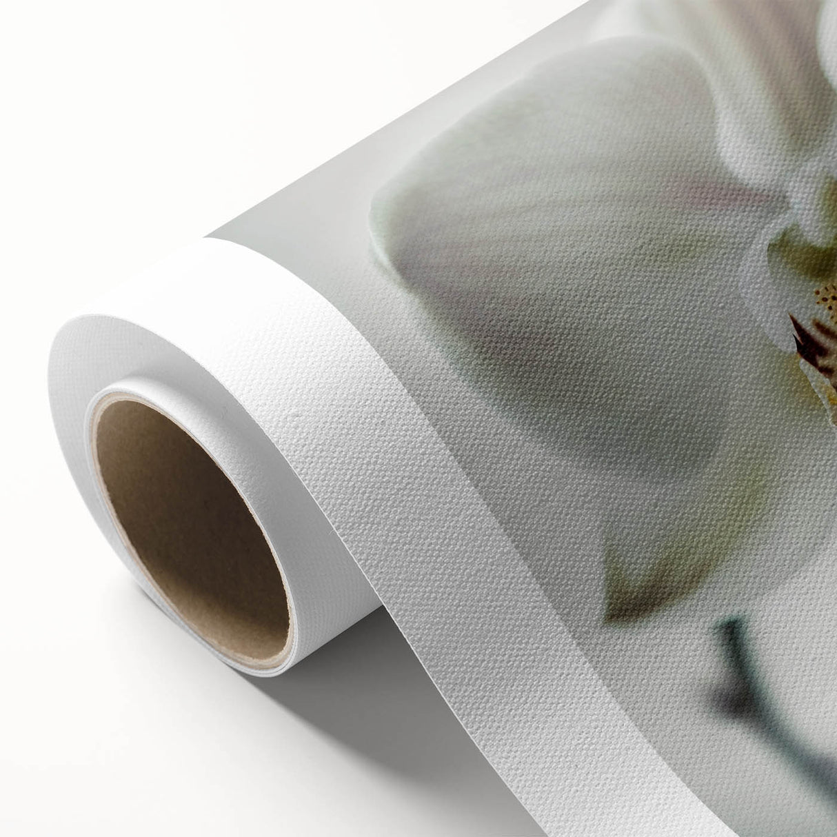 Elegant White Orchid Canvas Wall Art – Modern Framed Floral Decor