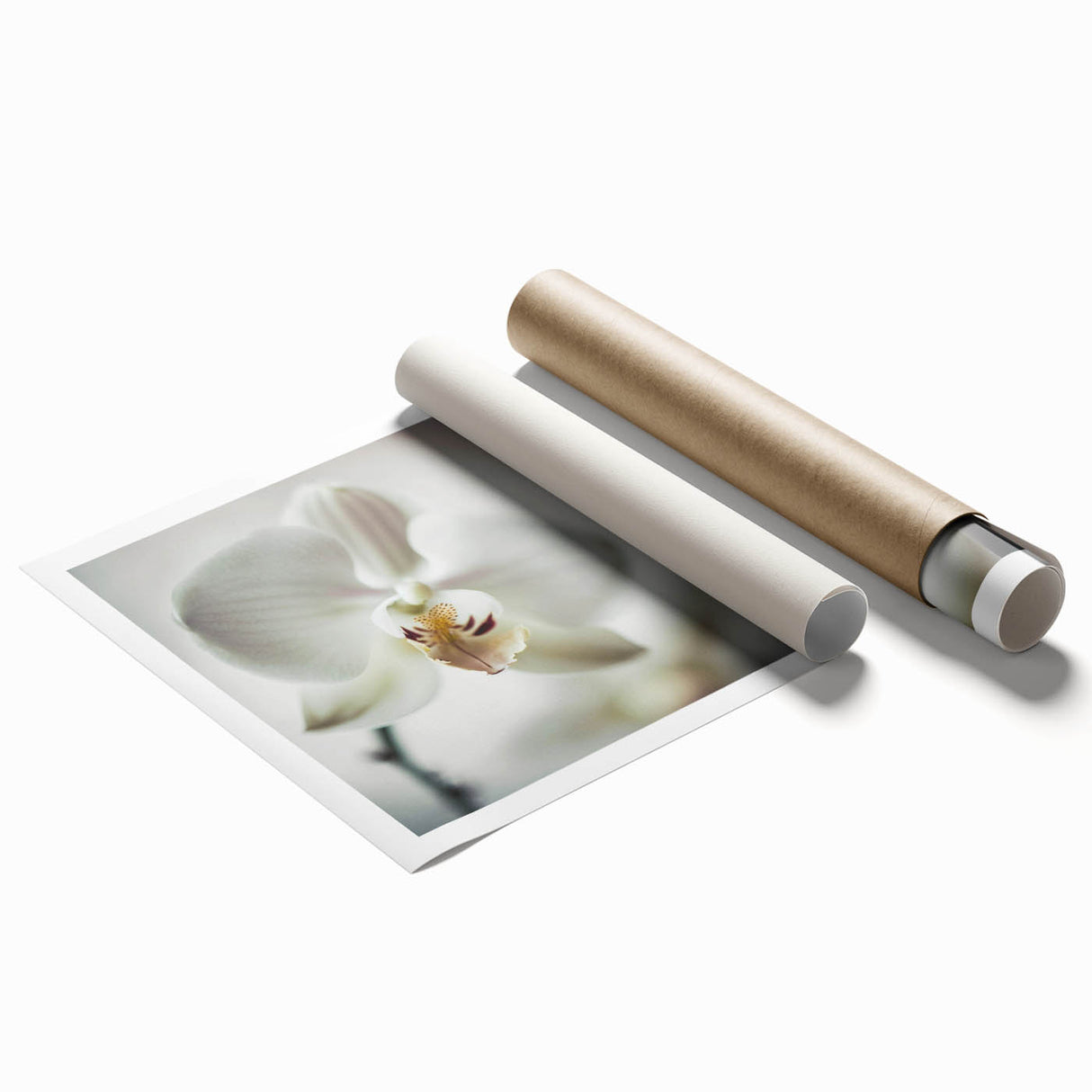 Elegant White Orchid Canvas Wall Art – Modern Framed Floral Decor