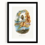 Romanticism Art: Volcano Limpet Snail Wall Art for Home Decor