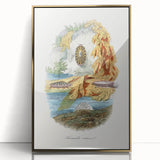 Romanticism Art: Volcano Limpet Snail Wall Art for Home Decor