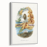 Romanticism Art: Volcano Limpet Snail Wall Art for Home Decor